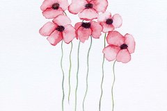 Coquelicots #02