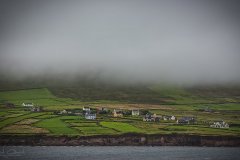 Dingle