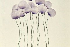 Fleurs ballon #10
